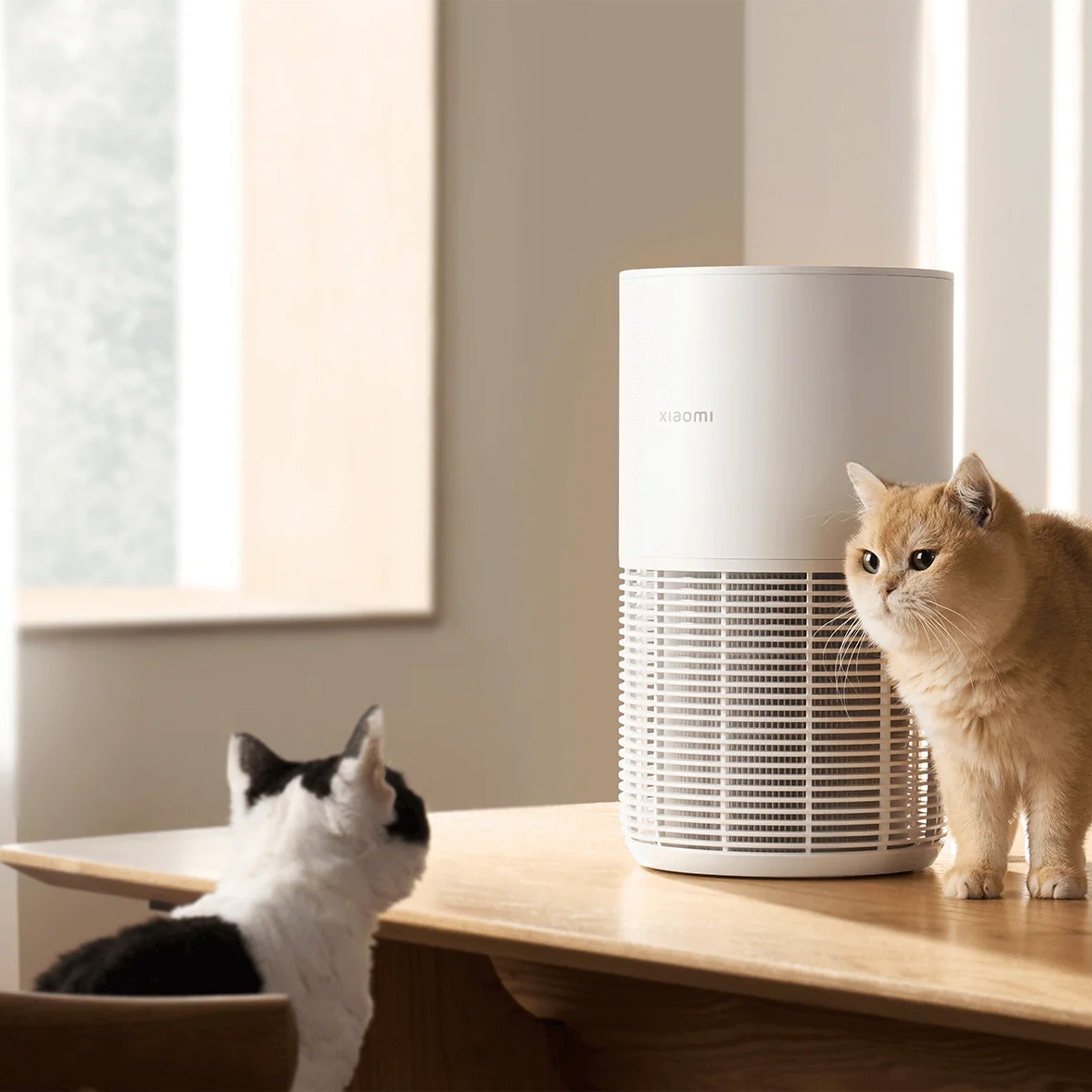 Xiaomi Mijia Smart Pet Care Air Purifier GB