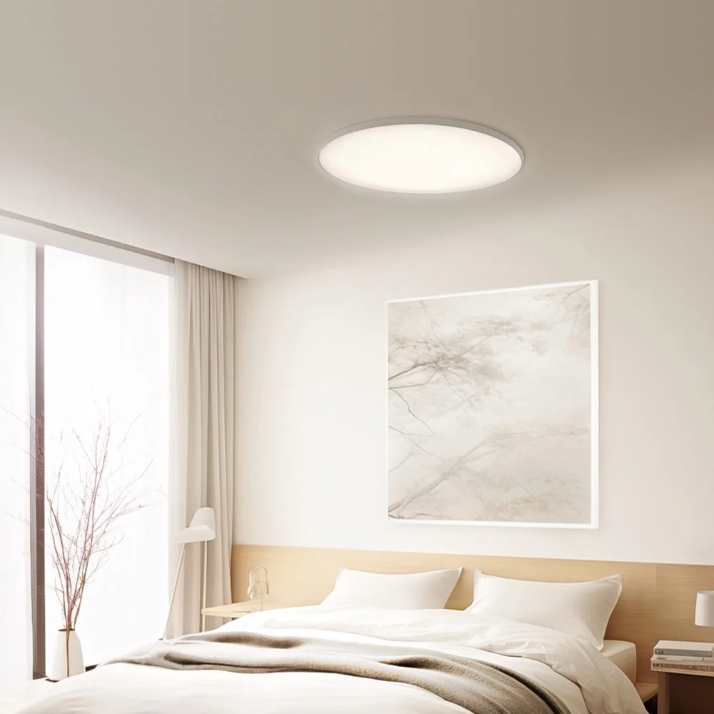 Xiaomi Smart Ceiling Light D30
